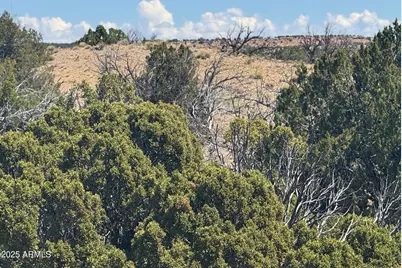 Lot 752 Woodland Valley Ranch -- #752, Saint Johns, AZ 85936 - Photo 11
