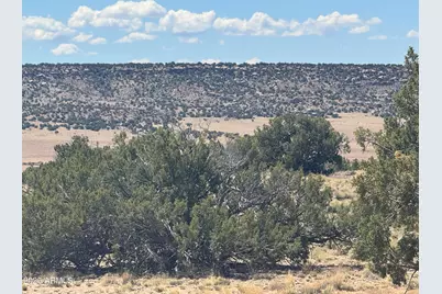 Lot 753 Woodland Valley Ranch -- #753, Saint Johns, AZ 85936 - Photo 3