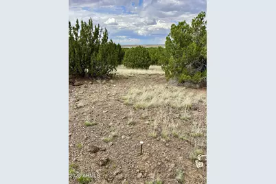 Tbd County Rd N3440 -- #42, Concho, AZ 85924 - Photo 1