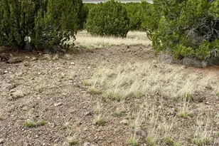 Tbd County Rd N3440 --, Concho, AZ 85924 - Photo 1