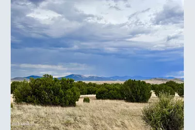 Tbd County Rd N3440 -- #42, Concho, AZ 85924 - Photo 3