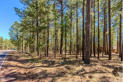4583 Sky Hi Road #-, Pinetop, AZ 85935 - Photo 21