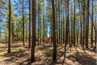 4583 Sky Hi Road #-, Pinetop, AZ 85935 - Photo 25