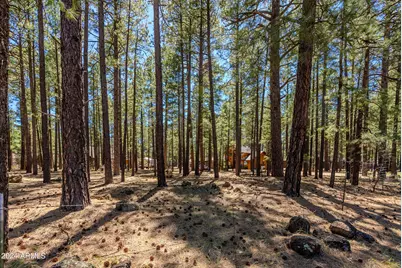 4583 Sky Hi Road #-, Pinetop, AZ 85935 - Photo 19