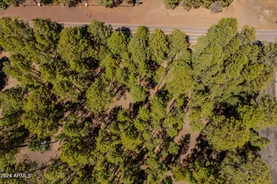 4583 Sky Hi Road #-, Pinetop, AZ 85935 - Photo 11