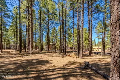 4583 Sky Hi Road #-, Pinetop, AZ 85935 - Photo 3