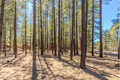 4583 Sky Hi Road #-, Pinetop, AZ 85935 - Photo 29