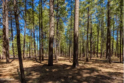 4583 Sky Hi Road #-, Pinetop, AZ 85935 - Photo 23