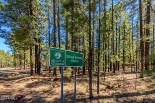 4583 Sky Hi Rd, Pinetop, AZ 85935 - Photo 1