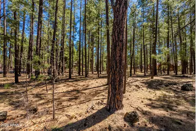 4583 Sky Hi Road #-, Pinetop, AZ 85935 - Photo 17