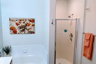 14575 W Mountain View Blvd, Surprise, AZ 85374 - Photo 19