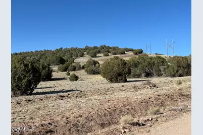 0 N Parcel #301-10-230-1557 --, Seligman, AZ 86337 - Photo 1