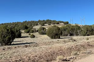 0 N Parcel #301-10-230-1557 --, Seligman, AZ 86337 - Photo 1