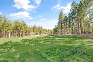 4560 S Saddle Horn, Flagstaff, AZ 86005 - Photo 63