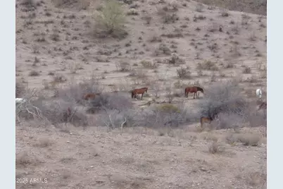 Lot 13-F E Overdrive Road #13-F, Fort McDowell, AZ 85264 - Photo 13