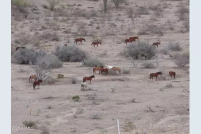 Lot 13-F E Overdrive Road #13-F, Fort McDowell, AZ 85264 - Photo 11