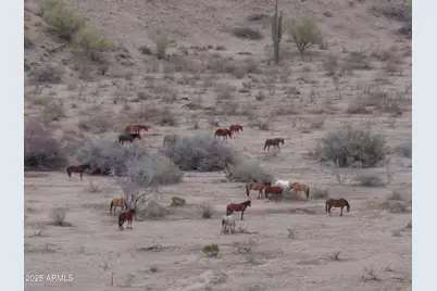 Lot 13-F E Overdrive Road #13-F, Fort McDowell, AZ 85264 - Photo 1