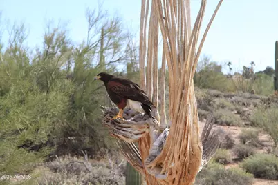 10651 E Fernwood Lane, Scottsdale, AZ 85262 - Photo 179