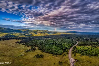 50 S Bench Circle, Show Low, AZ 85901 - Photo 41