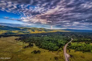 50 S Bench Cir, Show Low, AZ 85901 - Photo 41