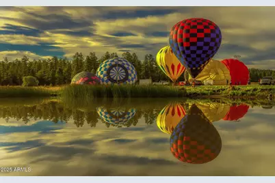 50 S Bench Circle, Show Low, AZ 85901 - Photo 39