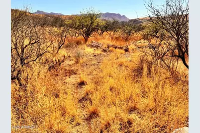 773 Avenida Beatriz -- #8, Rio Rico, AZ 85648 - Photo 3