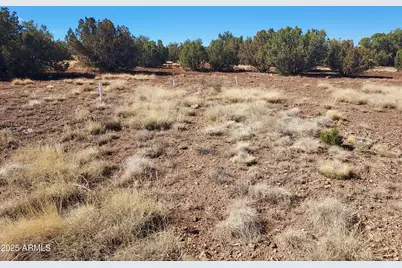 Tbd High Plains Road #C, Show Low, AZ 85901 - Photo 5