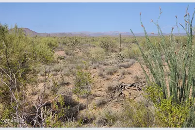 4224X N 264th Avenue #-, Morristown, AZ 85342 - Photo 15