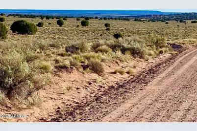 River Meadows Ranch Unit 3 Lot 204 -- #-, Concho, AZ 85924 - Photo 5