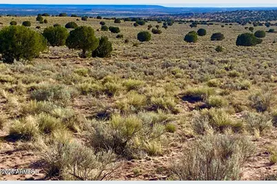 River Meadows Ranch Unit 3 Lot 204 -- #-, Concho, AZ 85924 - Photo 17
