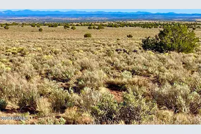 River Meadows Ranch Unit 3 Lot 204 -- #-, Concho, AZ 85924 - Photo 11