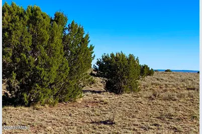 River Meadows Ranch Unit 3 Lot 204 -- #-, Concho, AZ 85924 - Photo 7