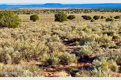 River Meadows Ranch Unit 3 Lot 204 -- #-, Concho, AZ 85924 - Photo 9