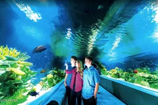 8447 E Sheridan St, Scottsdale, AZ 85257 - Photo 31