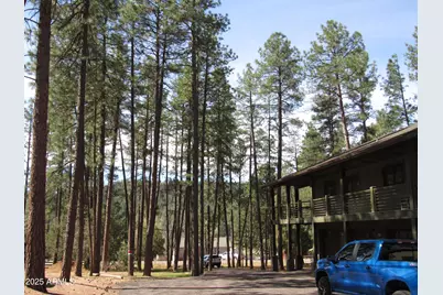 9016 W Fossil Creek Road, Pine, AZ 85544 - Photo 3