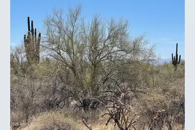 16800 N 168th Street #-, Rio Verde, AZ 85263 - Photo 7