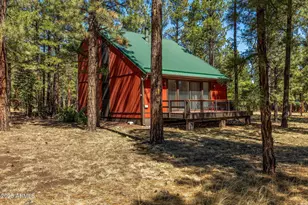 11 N County Road N1030 St, Greer, AZ 85927 - Photo 23
