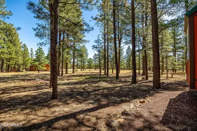 11 N County Road N1030 Street, Greer, AZ 85927 - Photo 25