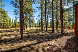 11 N County Road N1030 St, Greer, AZ 85927 - Photo 25