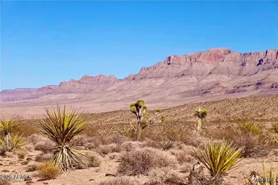 258 Mohave Lane #258, Meadview, AZ 86444 - Photo 1