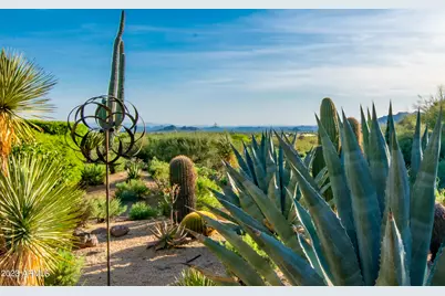 39032 N 101st Way, Scottsdale, AZ 85262 - Photo 25