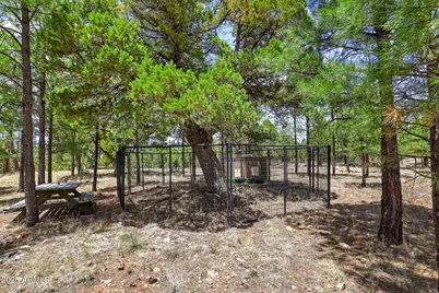 4089 Morning View Drive, Happy Jack, AZ 86024 - Photo 9
