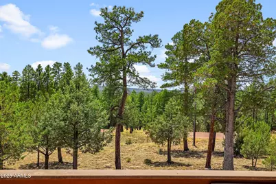 4089 Morning View Drive, Happy Jack, AZ 86024 - Photo 13