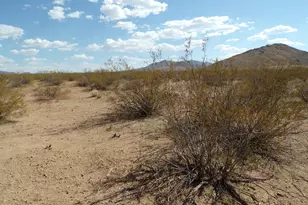 3 Lots Banjo Dr, Kingman, AZ 86409 - Photo 1