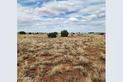 5506 Glasgow Drive #54, Snowflake, AZ 85937 - Photo 3