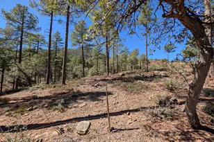 4165 W Forest Ct, Pine, AZ 85544 - Photo 11