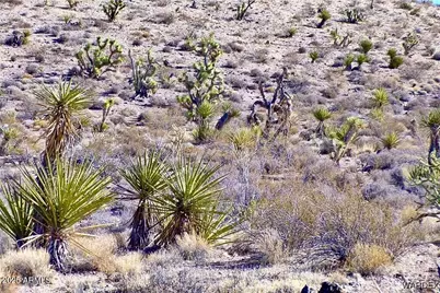 22 N Nancy Lane #22, Meadview, AZ 86444 - Photo 1
