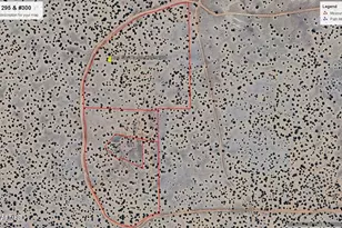 74 N7121 Red Sky Ranch --, Saint Johns, AZ 85936 - Photo 5