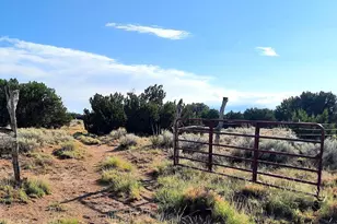 74 N7121 Red Sky Ranch --, Saint Johns, AZ 85936 - Photo 53