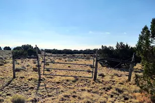 74 N7121 Red Sky Ranch --, Saint Johns, AZ 85936 - Photo 59